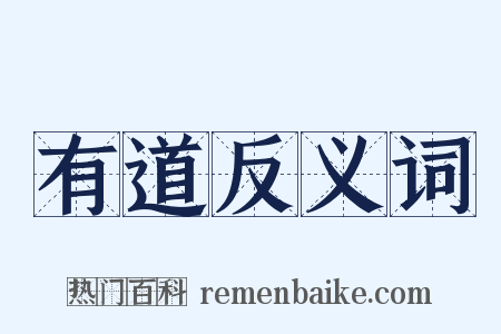 有道反义词是什么意思的图片